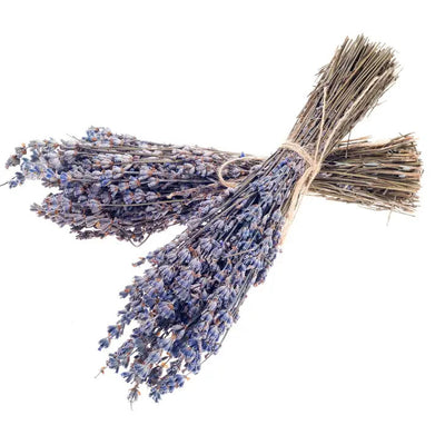French Dried Lavender Bundle