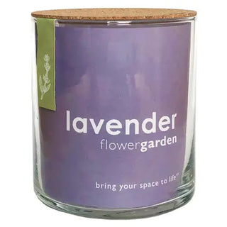 Essential Lavender Garden Kit