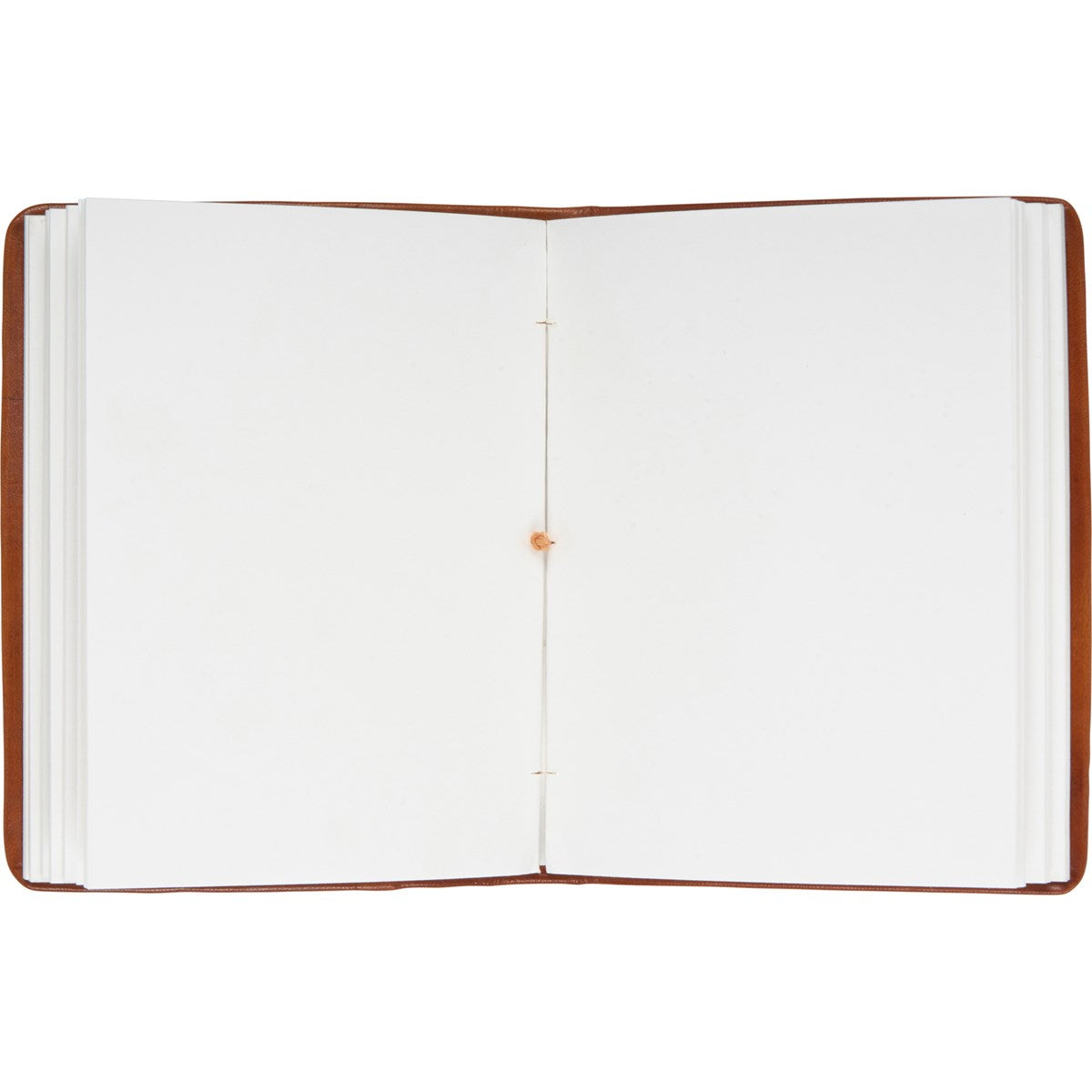 Leatherbound Compass Rose Journal