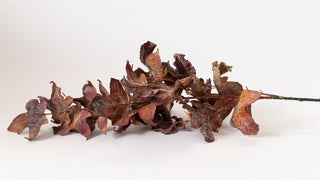 39" Dried Look Rust Color Maple Leaves Stem