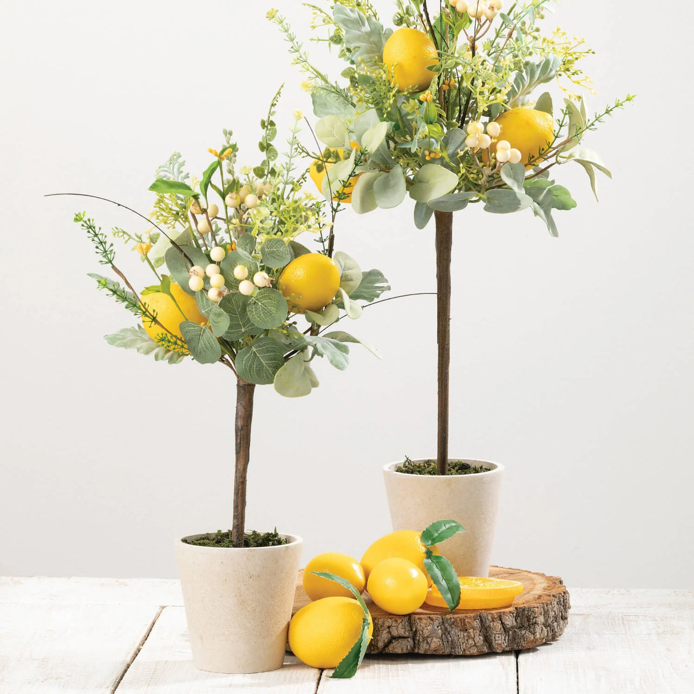 Lemon Topiary Plant - Choose Size