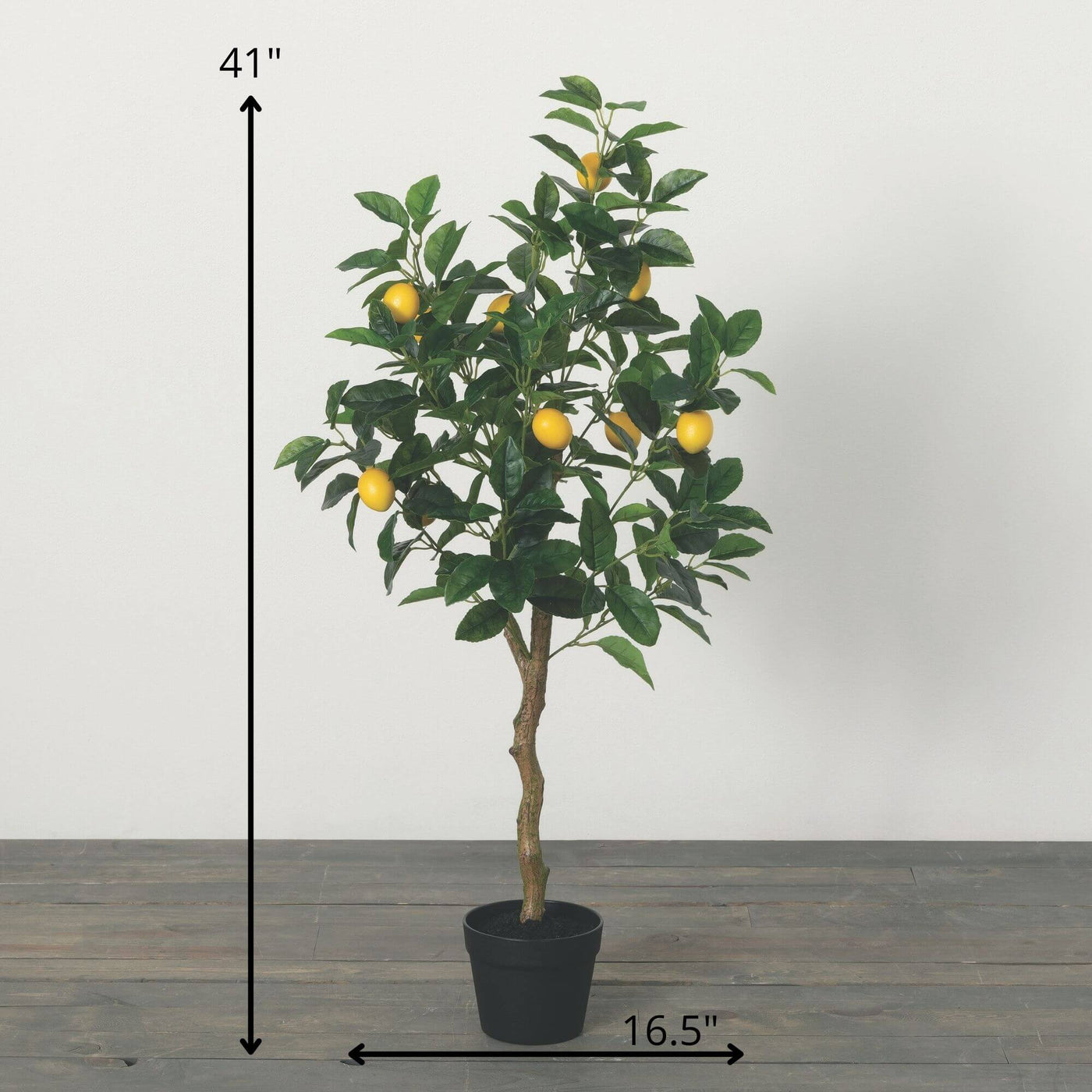 The 3.5 Foot Lemon Tree