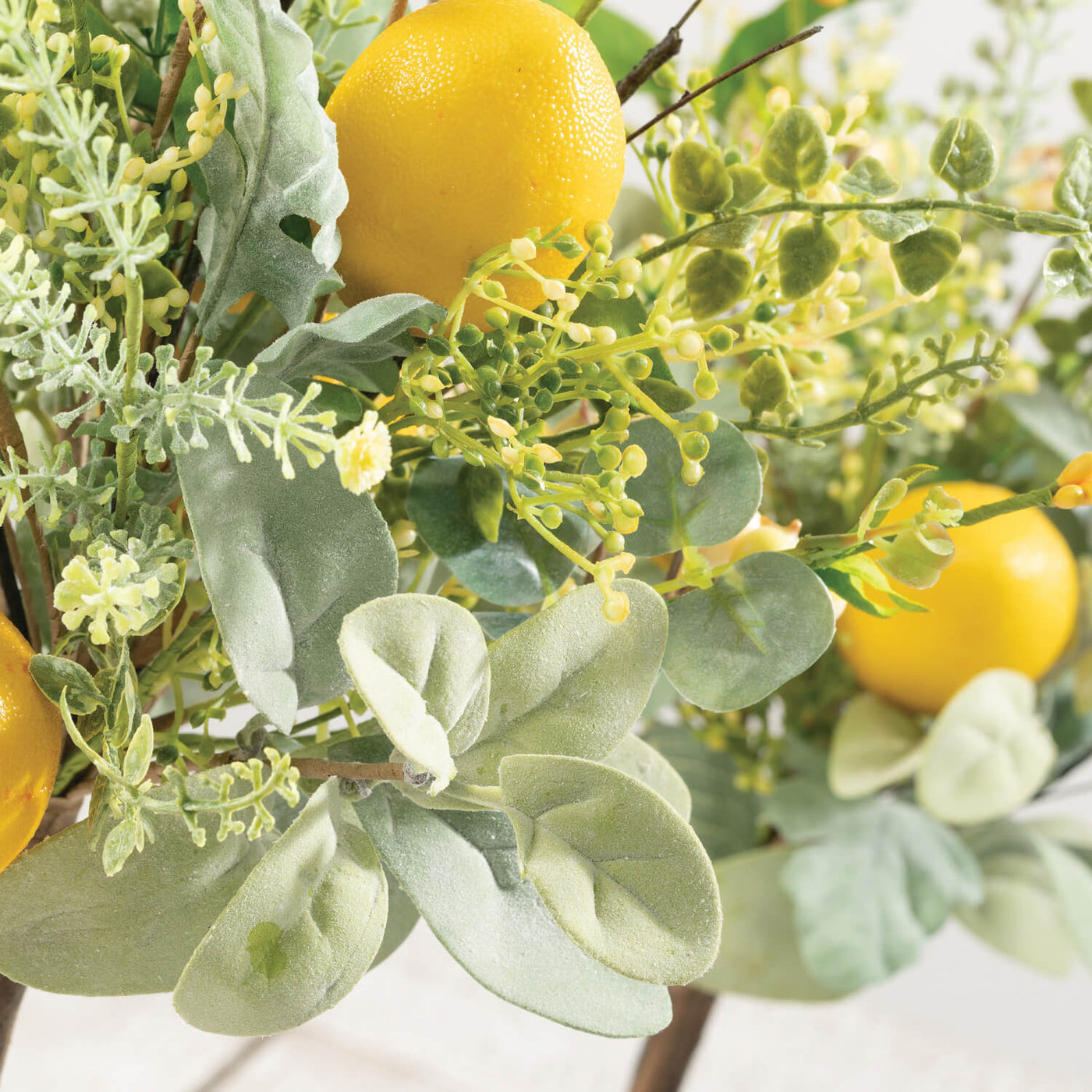 Lemon Topiary Plant - Choose Size