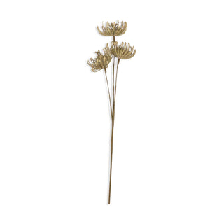28" Leucospermum Stem