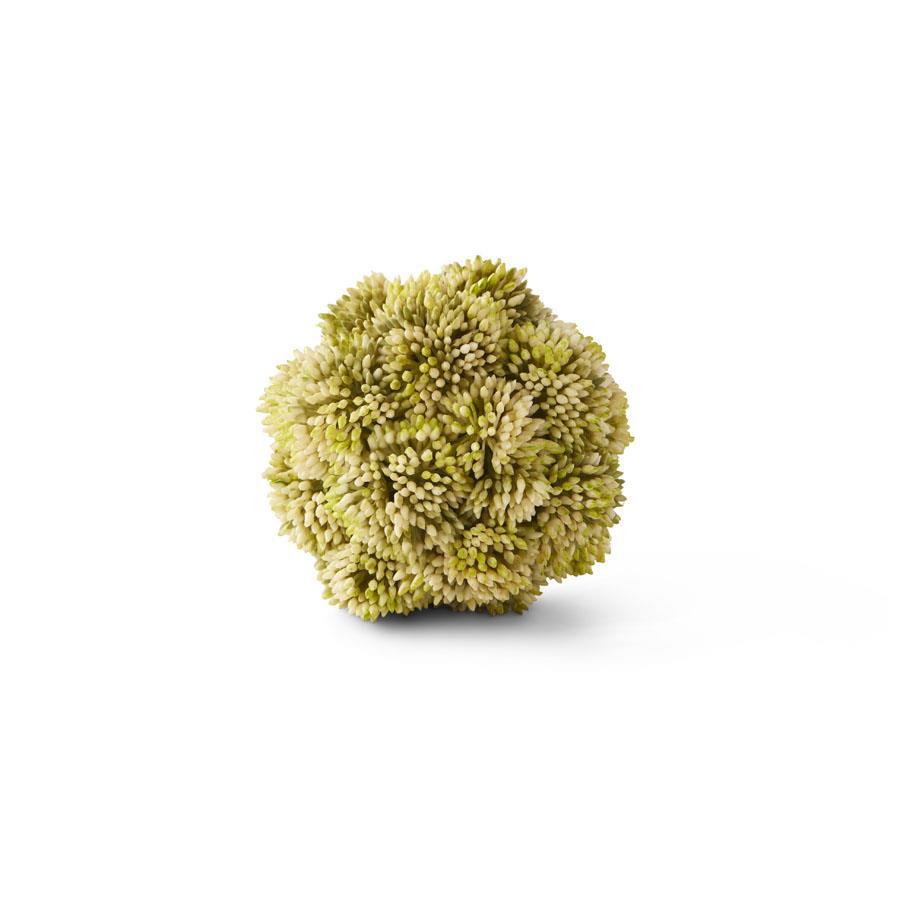 Light Green Sedum Stem Ball