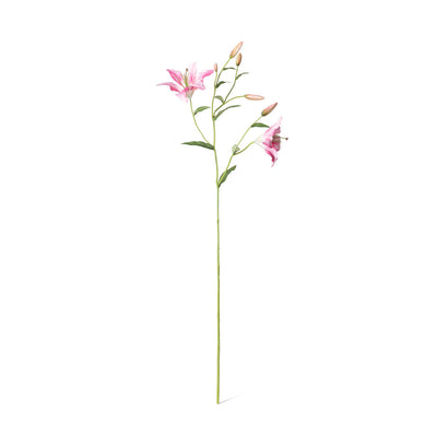 45" Oriental Lily Stem - Choose Pink or White
