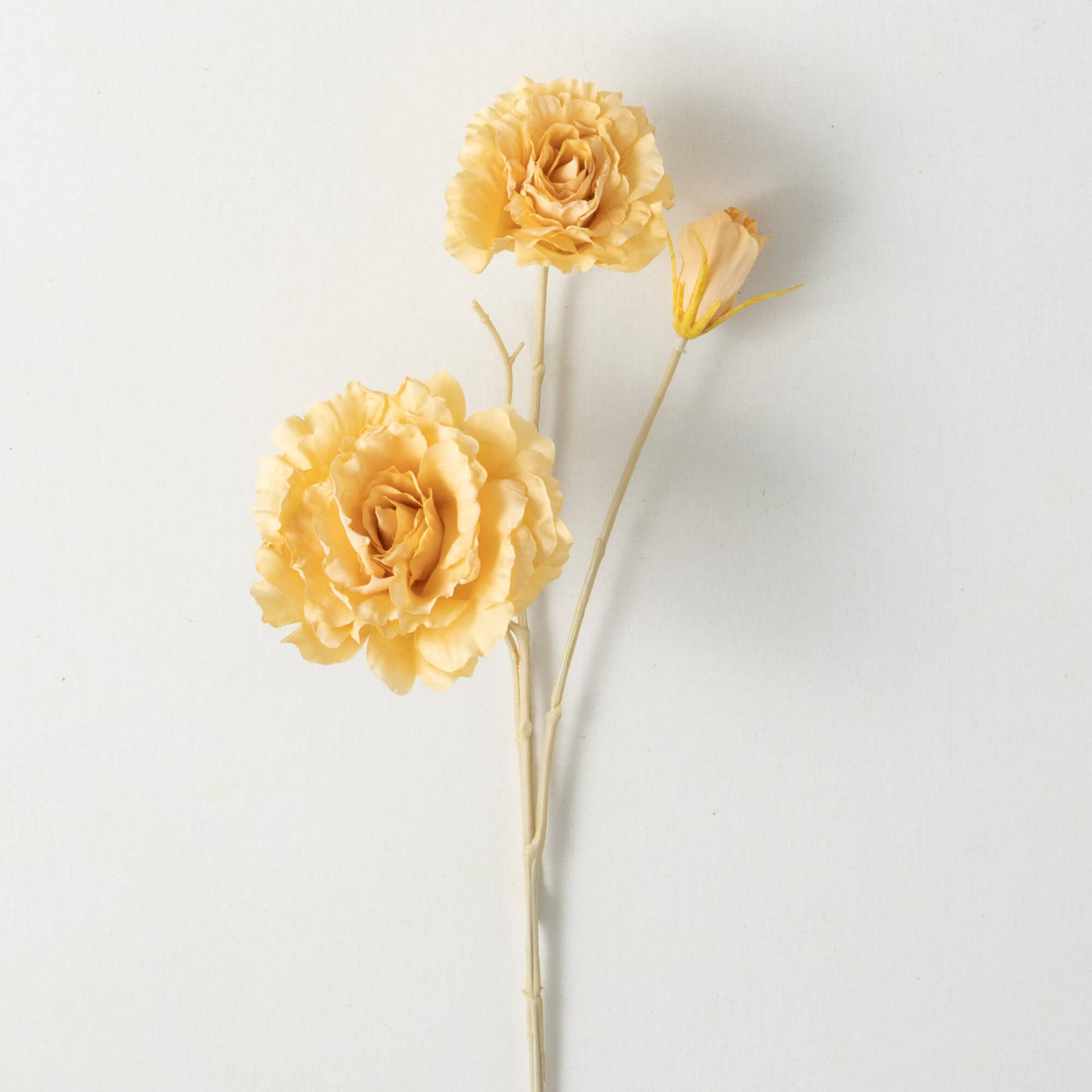 Lisianthus Flower Stem