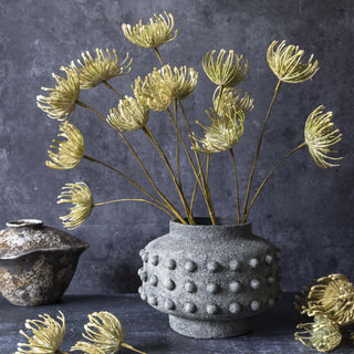 28" Leucospermum Stem