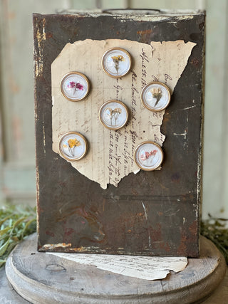 Set of 6 Tiny Treasure Magnets - Dried Flowers