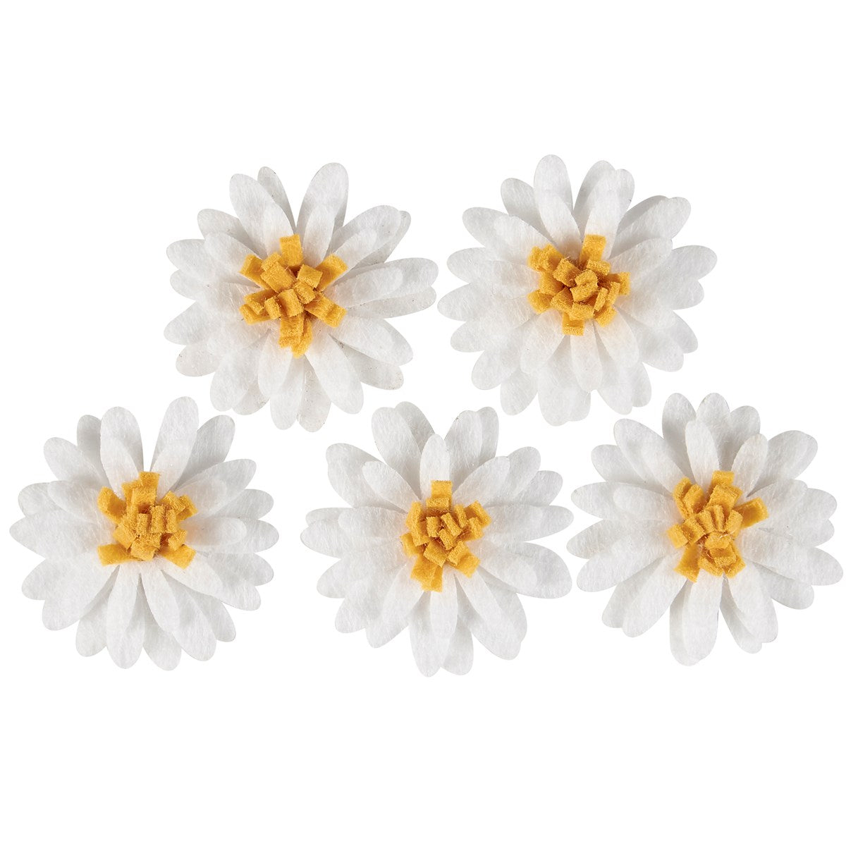 Set of 5 Daisy Magnets