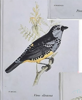 Botanical Bird Journal - Choose Your Favorite