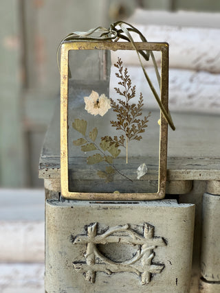 Meadow Mementos Pressed Flowers - Choose Style