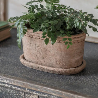 The Milston Oval Planter