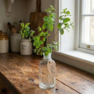 29" Garden Mint Stem