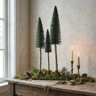 Bottle Brush Trees With Birch Wood Trunks & Moss Base