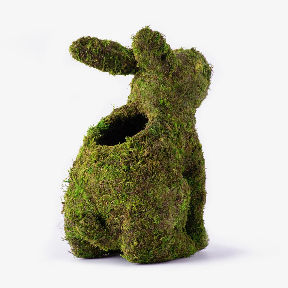 Moss Bunny Planter