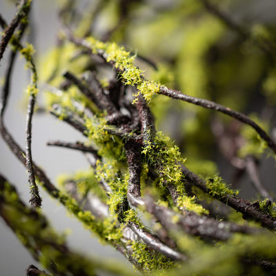 26.5" Moss Twig Wreath