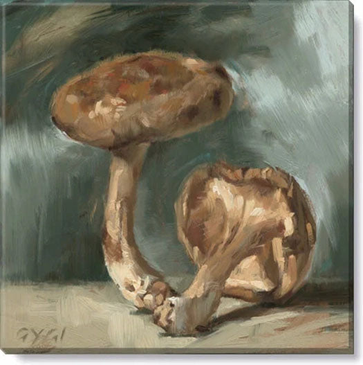 14" x 14" Mushroom Canvas Art Print