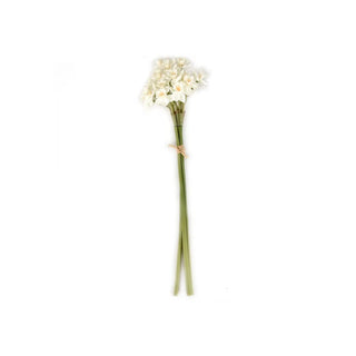 20" White Narcissus Bunch