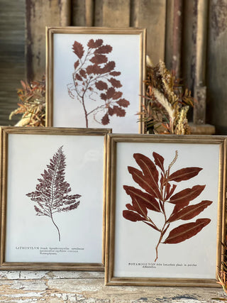 Netherwood Collection Botanical Wall Decor - Choose Style