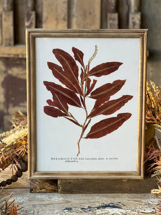Netherwood Collection Botanical Wall Decor - Choose Style