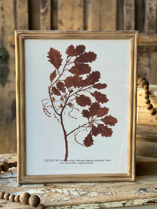 Netherwood Collection Botanical Wall Decor - Choose Style