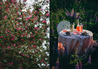 Nordic Summer Cookbook