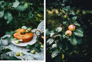 Nordic Summer Cookbook