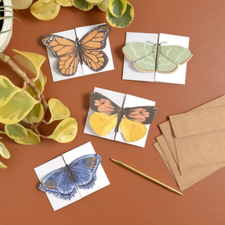 Flutter Friends Butterfly Fold-Out Greeting Card Box Set of 20