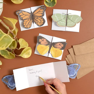 Flutter Friends Butterfly Fold-Out Greeting Card Box Set of 20