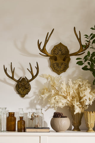 Oakdale Antler Wall Mount Collection