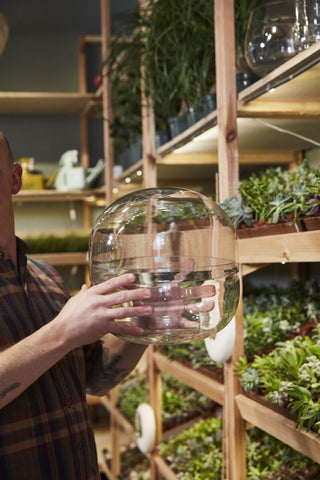 The Observatory Terrarium