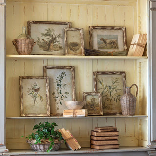Set of 7 Collected Prints - The Old Olive Farm