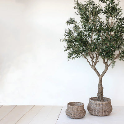 10ft. Faux Olive Tree - More Coming