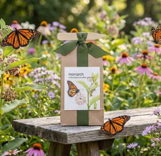Scatter Garden Seeds Monarch Butterfly Milkweed & Flower Garden