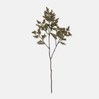 38" The Woodland Branch