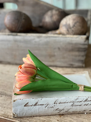 Poppet Tulip Bundle - Choose Color