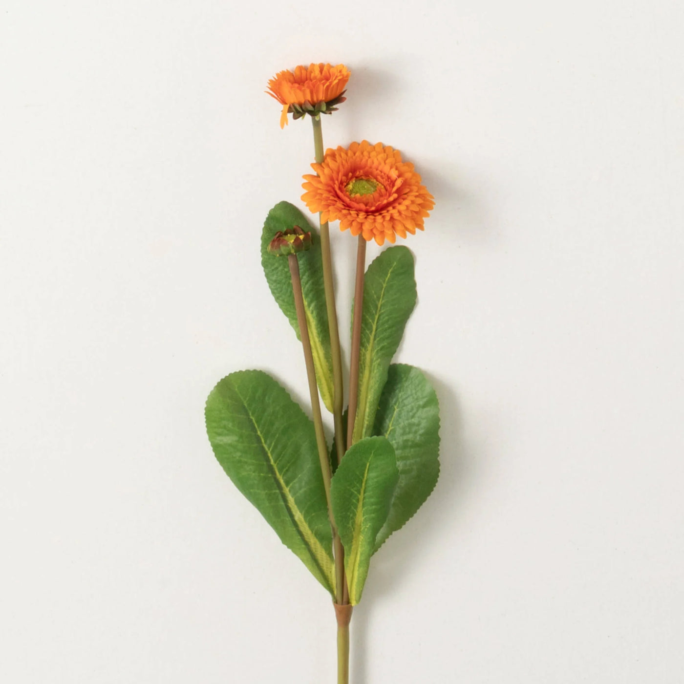 17" Orange Primrose Stem