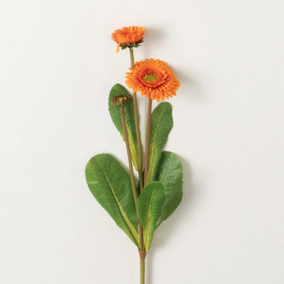 17" Orange Primrose Stem