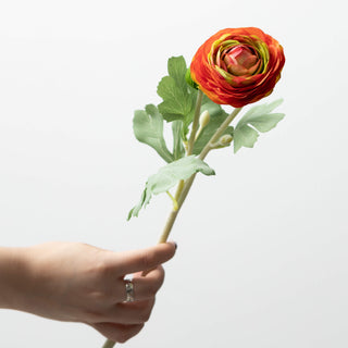 19" Ranunculus Stem - Orange