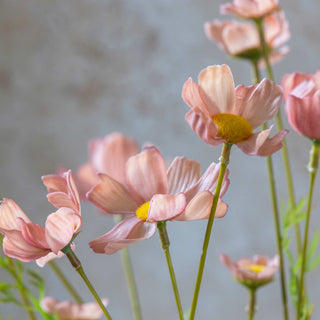 19" Cosmo Meadow Stem - Soft Pink