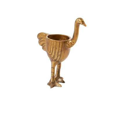 The Ostrich Planter