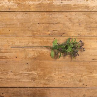 27" Mountain Laurel with Purple Berries Stem