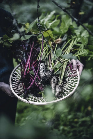 From Oven To Table - the Art of Sheet Pan Recipes