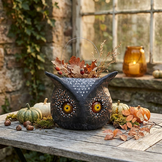 Cody Foster Owl Candy Bucket