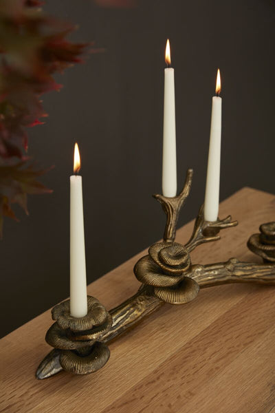 Oyster Mushroom Candleholder