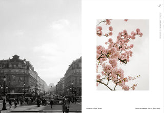 Paris – Dreamy Tips For the City of Love Book