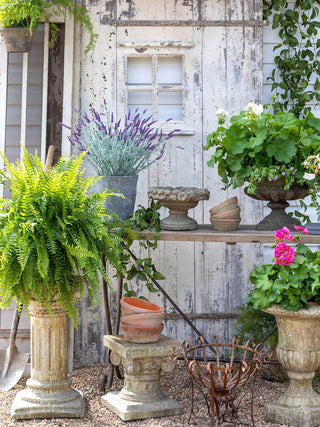13" Courtyard Garden Pedestal - More Coming Soon