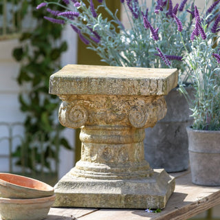 13" Courtyard Garden Pedestal - More Coming Soon