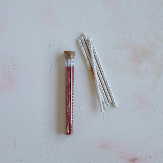 Set of 5 Wood Pencils in Glass Container - Choose Red or White